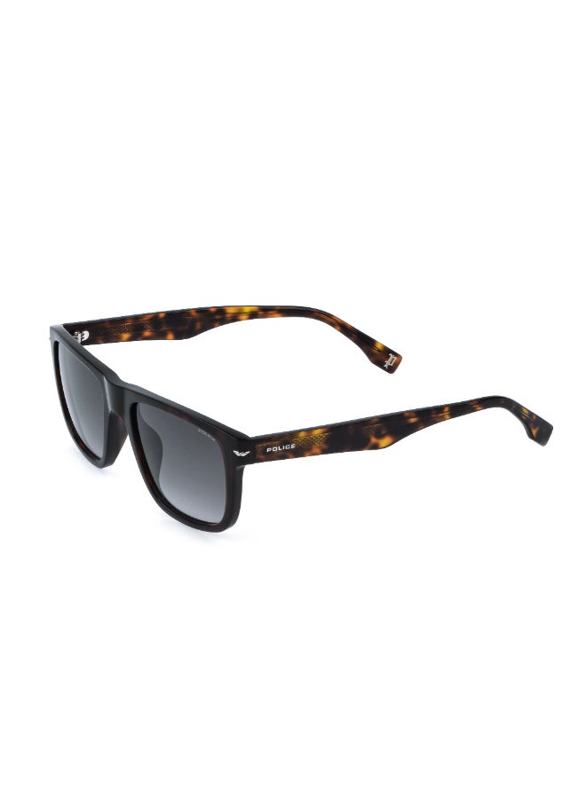 POLICE Sunglasses SPLQ83M - Image 2